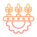 Branding Icon