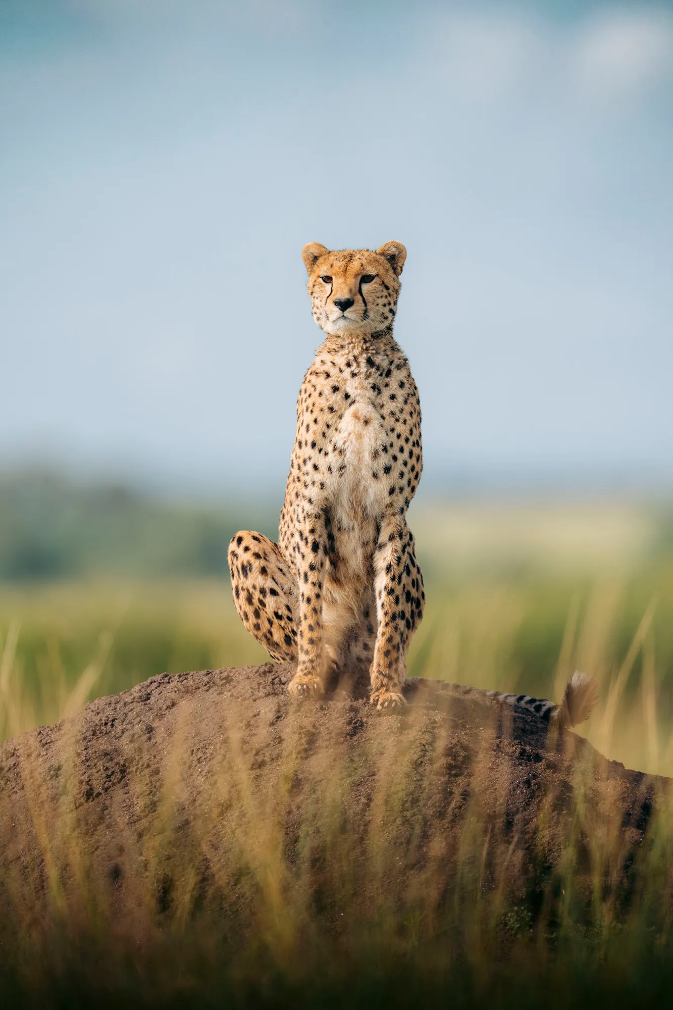 Sundowner at Emboo River