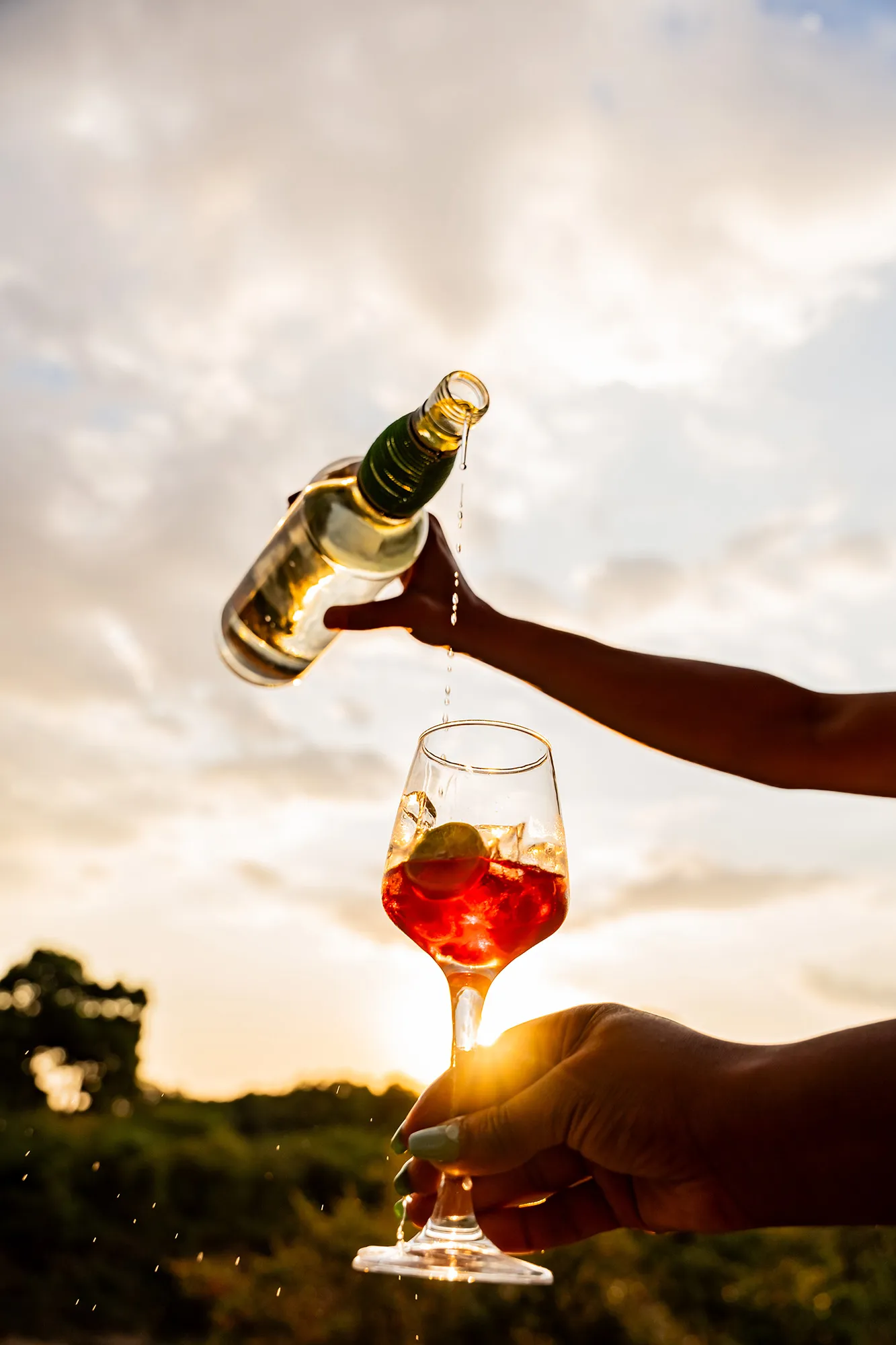 Elephants in the Maasai Mara