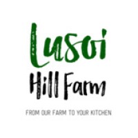 Lusoi